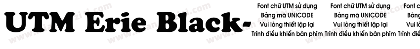 UTM Erie Black字体转换